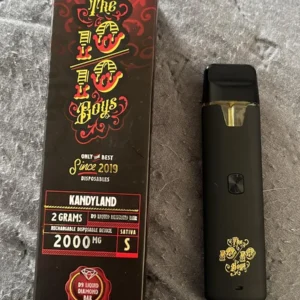 The 1010 2000mg disposable