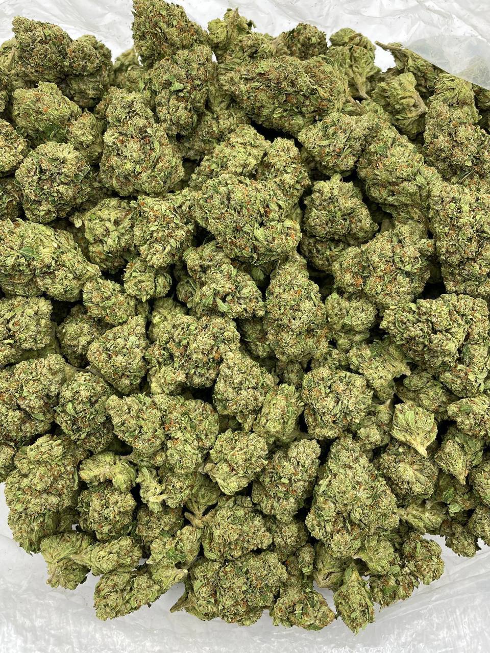 Maple Zyrup - Image 2