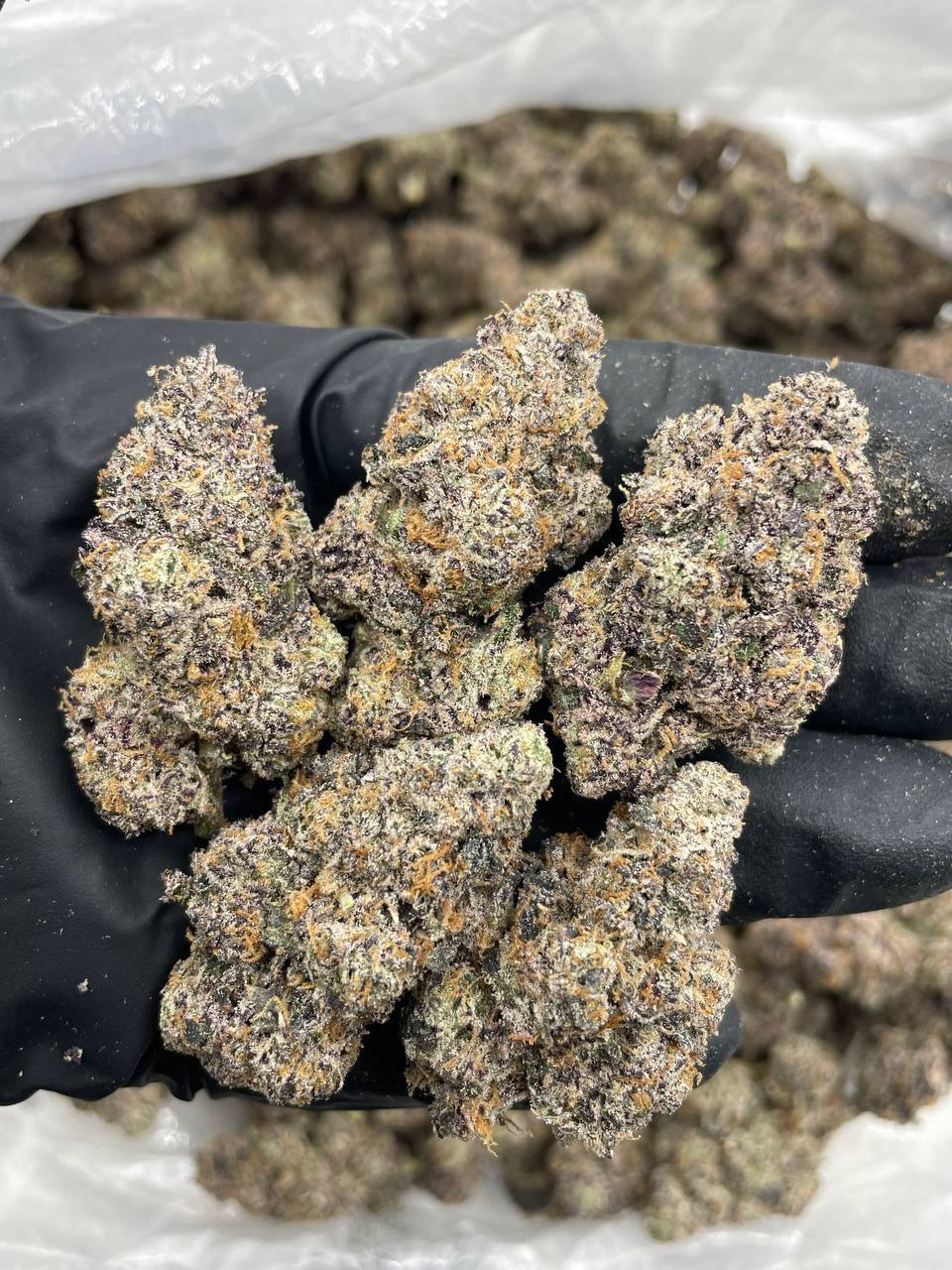 Blue Candy Bubblegum