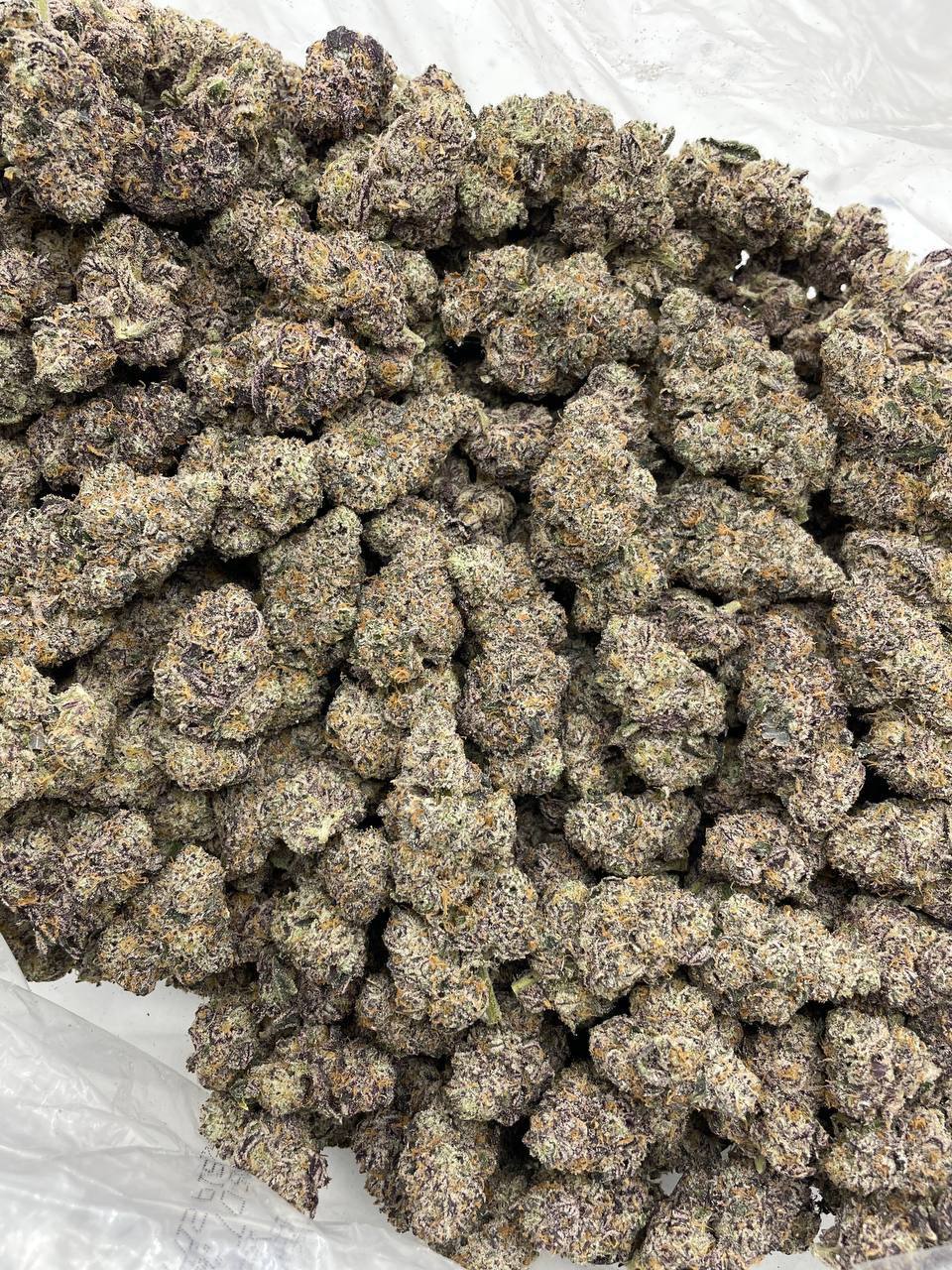 Blue Candy Bubblegum - Image 2