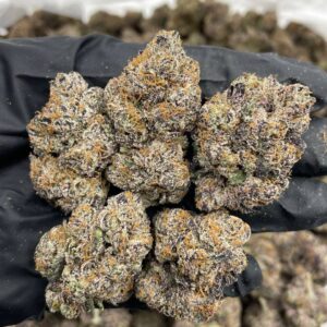 Black Cherry Curelato