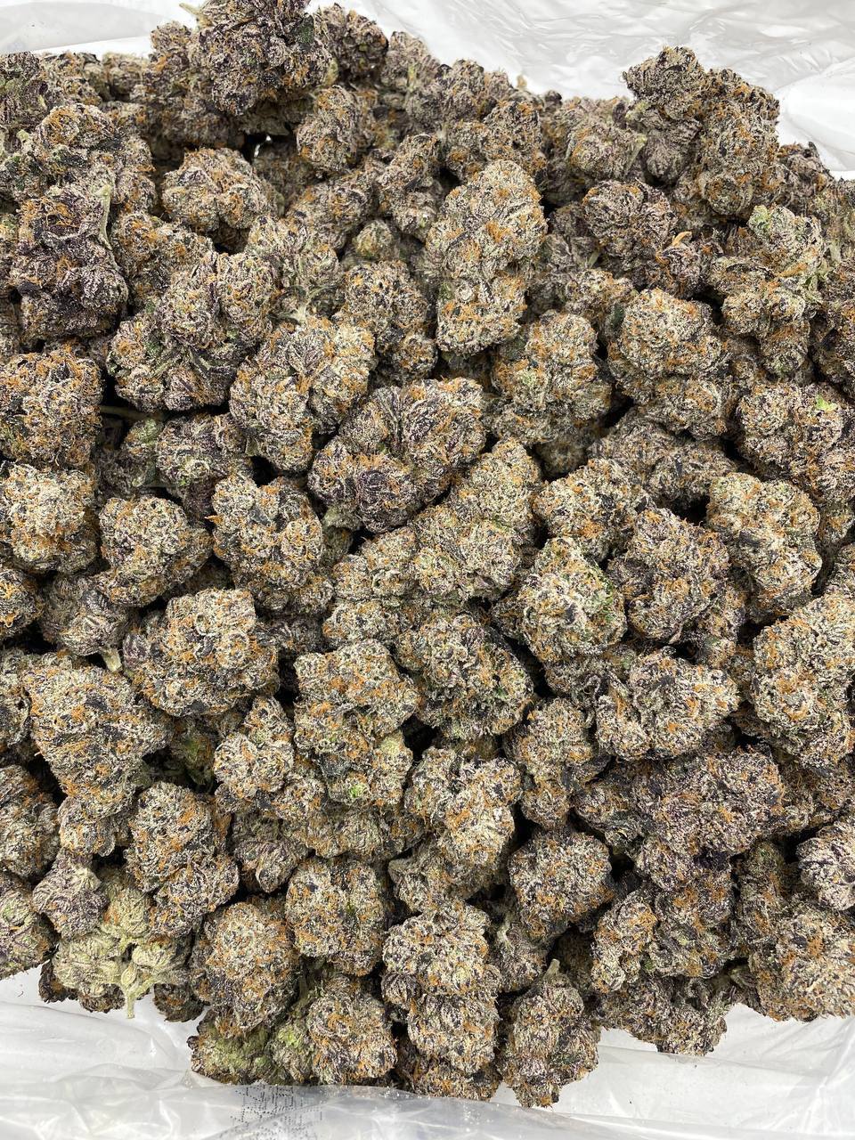 Purple Push Pop - Image 2