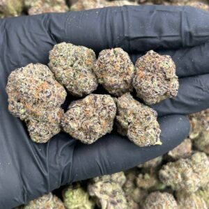 Glazed Apricot Gelato