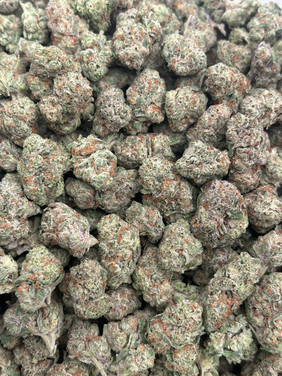 White Widow - Image 2